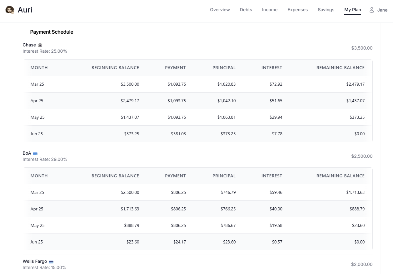 Payment Schedule screenshot showing payment optimization interface